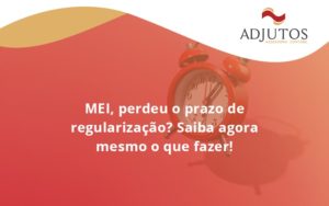 Mei Perdeu O Prazo De Regularização Saiba Agora Mesmo O Que Fazer Adjutos - Adjutos Assessoria Contábil